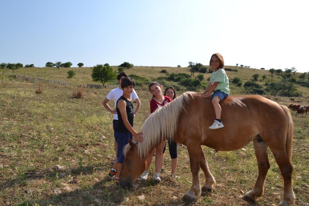 Masseria Revinaldi Βίλα Castel Del Monte  Εξωτερικό φωτογραφία
